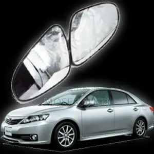 Allion 260/265 Side Mirror Glass