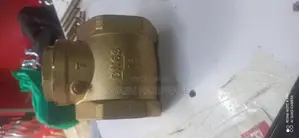 2.5"Non-Return Valve