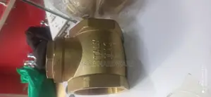 2.5"Non-Return Valve