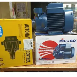 Pedrollo Water Pump