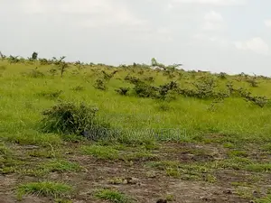 Land for Sale Oletepesi, Kajiado County