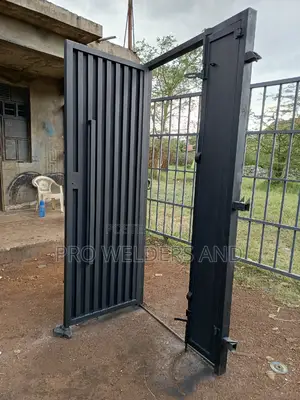 Simple Main Doors
