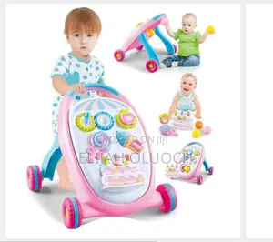 Multifunctional Push Walker