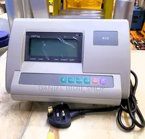 A12 Indicator Platform Weighing Scale