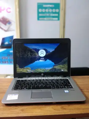 Laptop HP EliteBook 820 G3 8GB Intel Core I5 SSD 256GB