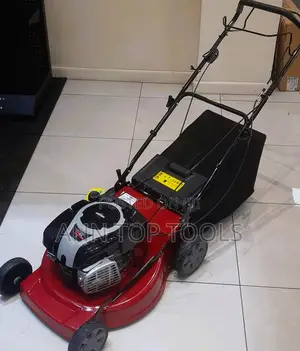 WYS18 Briggs and Stratton 18 Inches 4hp Hand Push 140cc