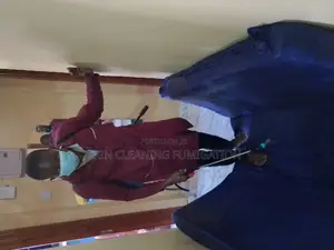 Mattress Fumigation for Bedbugs