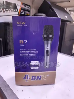 Professional BNK-B7 VOCAL Mic