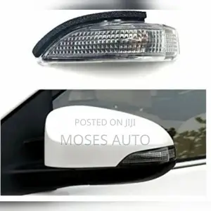 Porter Side Mirror Indicator Light