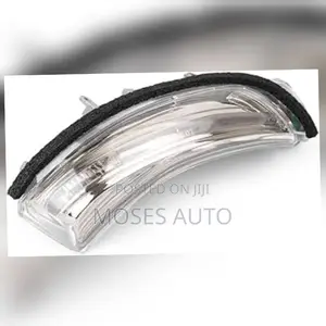 Wish Side Mirror Indicator Light