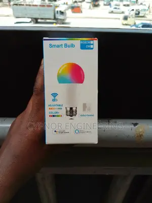 Warm Cool Adjustable Bulb