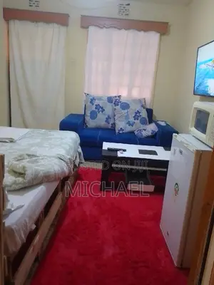 Studio Bedsitter Airbnb TRM Drive