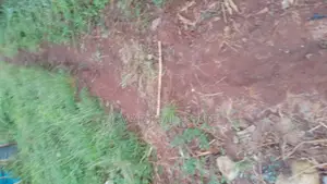 Plots for Sale in Makuyu Mugira Catholic