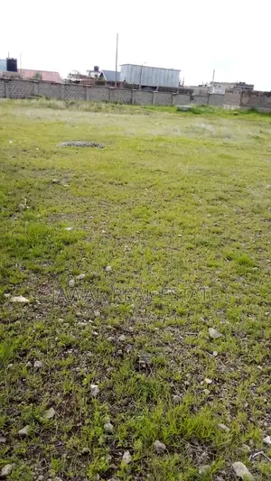 Plot for Sale in Juja Juja Farm