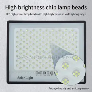 Solar Floodlight With a Reflector/Solar Garden Light