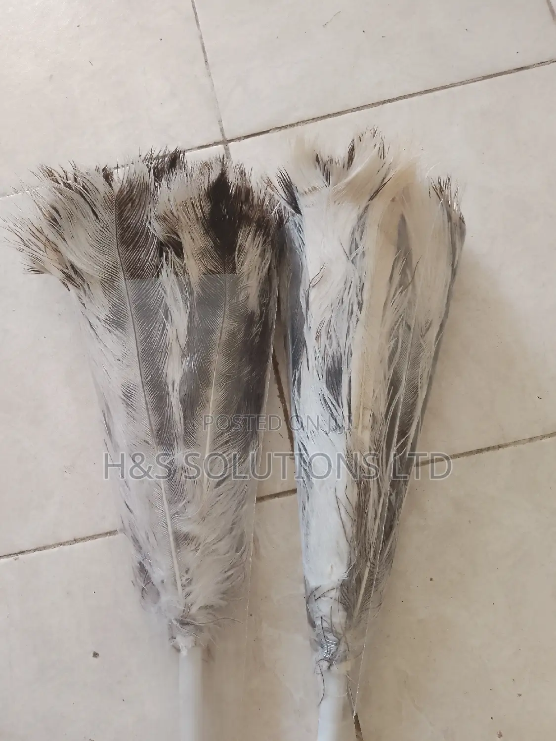 Feather Duster