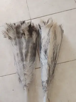 Feather Duster