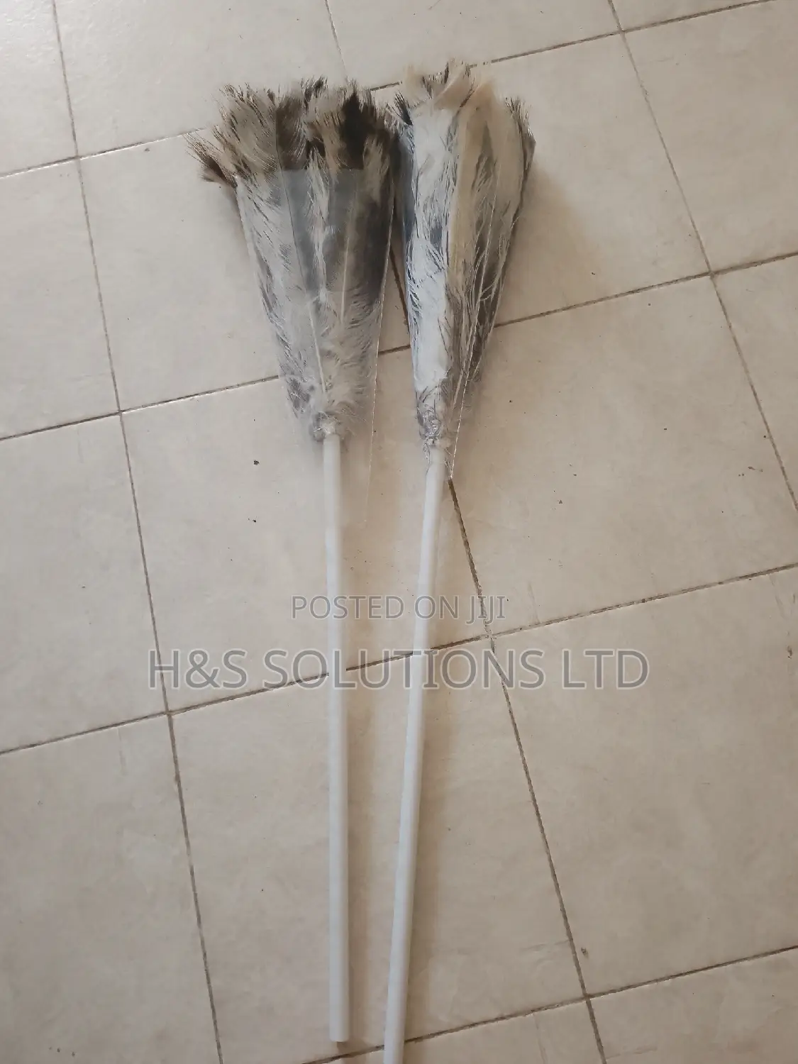 Feather Duster