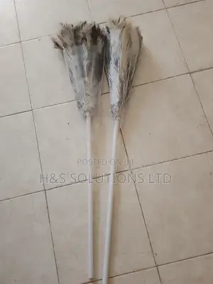 Feather Duster