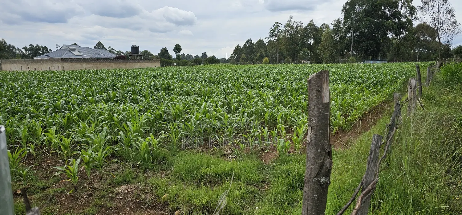Prime Plots for Sake in Outspan Eldoret