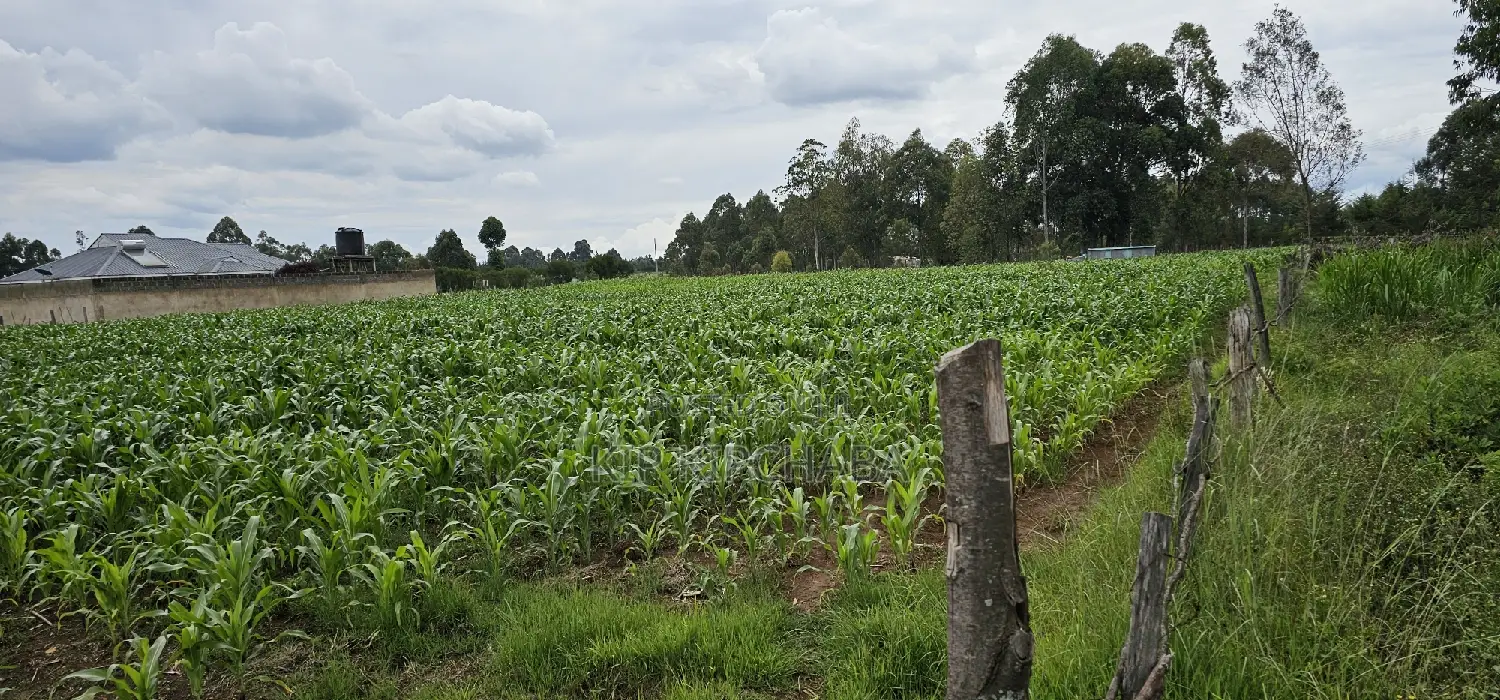 Prime Plots for Sake in Outspan Eldoret