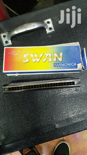 Harmonica Double Sided