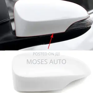 Axio 2012-2018 Side Mirror Cover