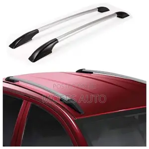 Fielder Roof Rails