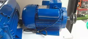 2.2 KW, 3 HP Single Phase Low Speed Electric Motor