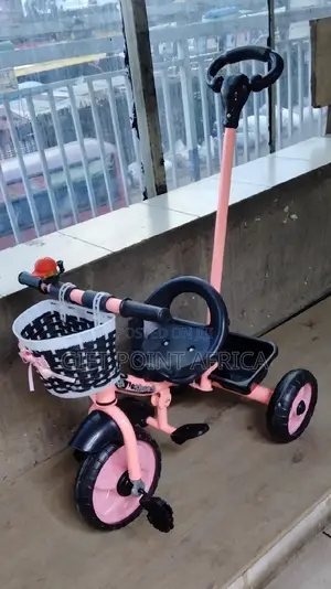 Push Handle Tricycle for Kids