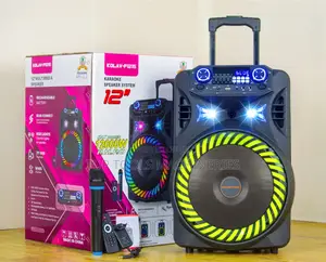 Karaoke Speaker System