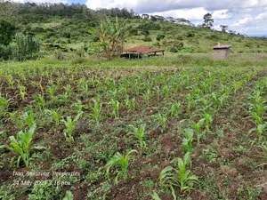 2 Acres for Sale Ngong Kaurai