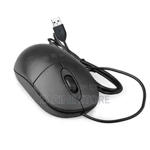Professional Wired Mouse With USB End