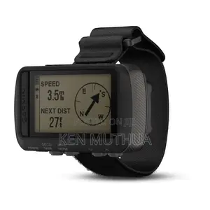 Garmin Foretrex 601