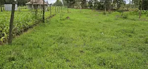 Plot for Sale Outspan Eldoret 60 Metres From Highway
