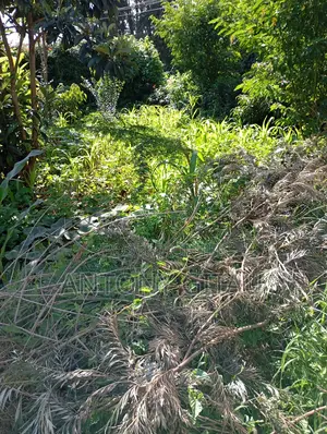 1/4 Plot Available Few Meters Off Bypass to Kikuyu Town