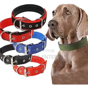 Dog Collar,
