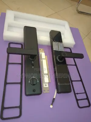 Classic Biometric Wifi Door Locks for Airbnbs Hosts