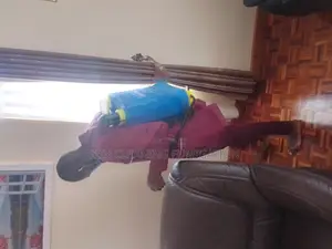 Wall Fumigation Against Mosquitoes