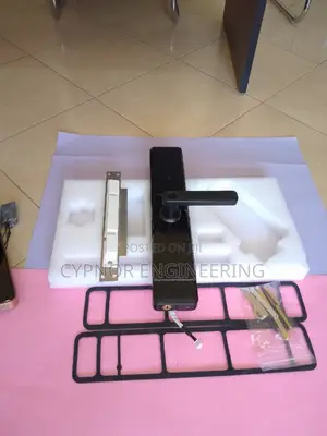 Morden Airbnbs Keypad Touch Biometric Wifi Lock