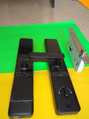Airbnb Door Access:Smart Connectivity Biometric Wifi Locks