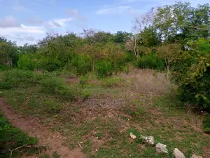 2nd Row Beach Plot Half Acre for Sale in Tiwi Beach