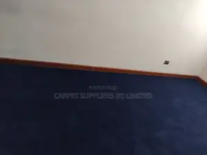 Blue Carpets