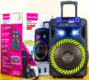 Karaoke Speaker System