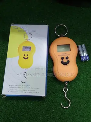 Portable Electronic Scale 50kg