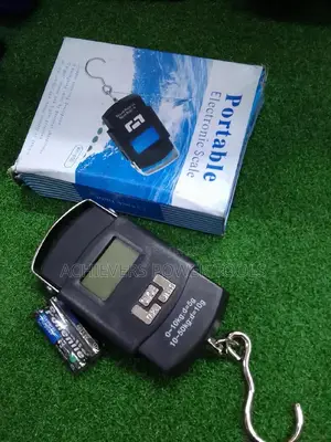 Portable 50kg Electronic Scale