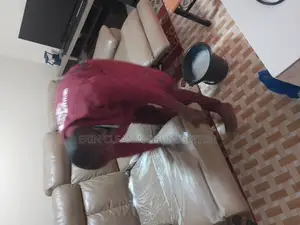 Sofa Cleaning in Apartment Around South B