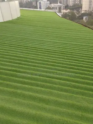 Grass Carpet