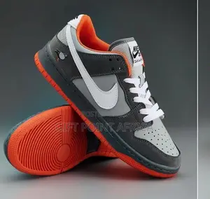 Nike SB Dunk Sneakers