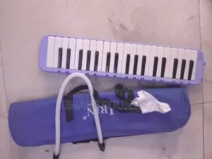 Mellodica Instrument